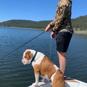 Meet your Posher, Chance